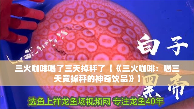 三火咖啡喝了三天掉秤了【《三火咖啡：喝三天竟掉秤的神奇飲品》】