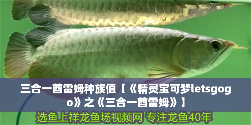 三合一酋雷姆種族值【《精靈寶可夢letsgogo》之《三合一酋雷姆》】