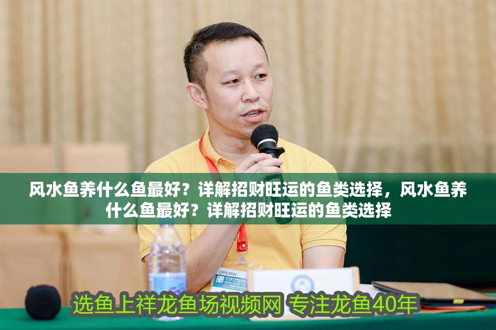 風水魚養什么魚最好？詳解招財旺運的魚類選擇，風水魚養什么魚最好？詳解招財旺運的魚類選擇