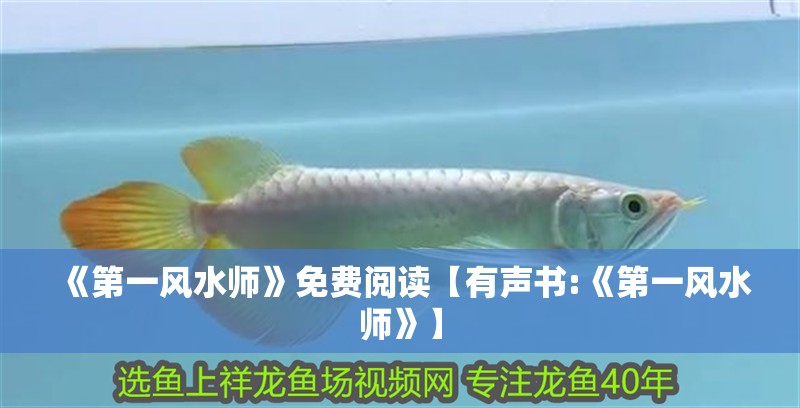 《第一風水師》免費閱讀【有聲書:《第一風水師》】