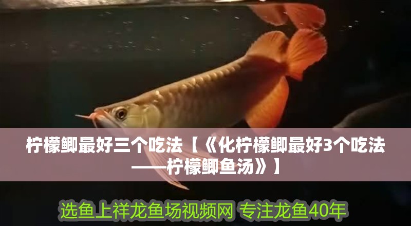 檸檬鯽最好三個吃法【《化檸檬鯽最好3個吃法——檸檬鯽魚湯》】