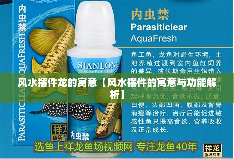 風水擺件龍的寓意【風水擺件的寓意與功能解析】