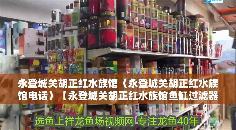 永登城關胡正紅水族館（永登城關胡正紅水族館電話）【永登城關胡正紅水族館魚缸過濾器清洗后不出水是怎么回事】