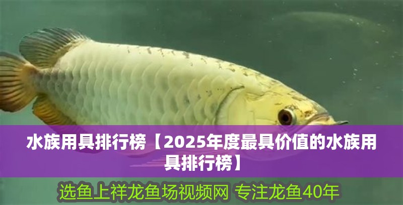 水族用具排行榜【2025年度最具價值的水族用具排行榜】