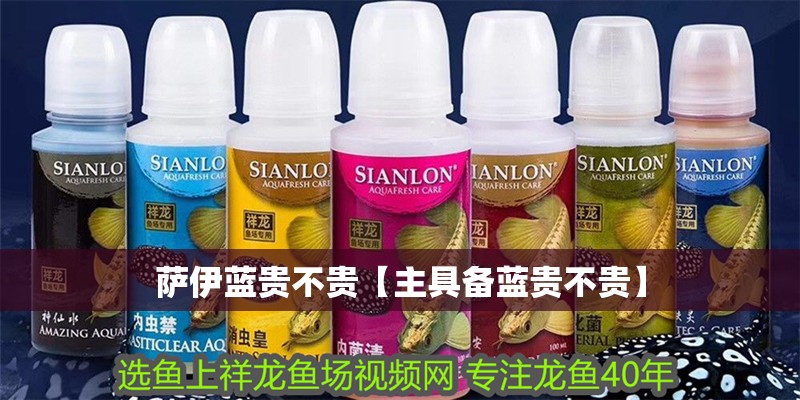 薩伊藍貴不貴【主具備藍貴不貴】 薩伊藍貴不貴【主具備藍貴不貴】 龍魚論壇