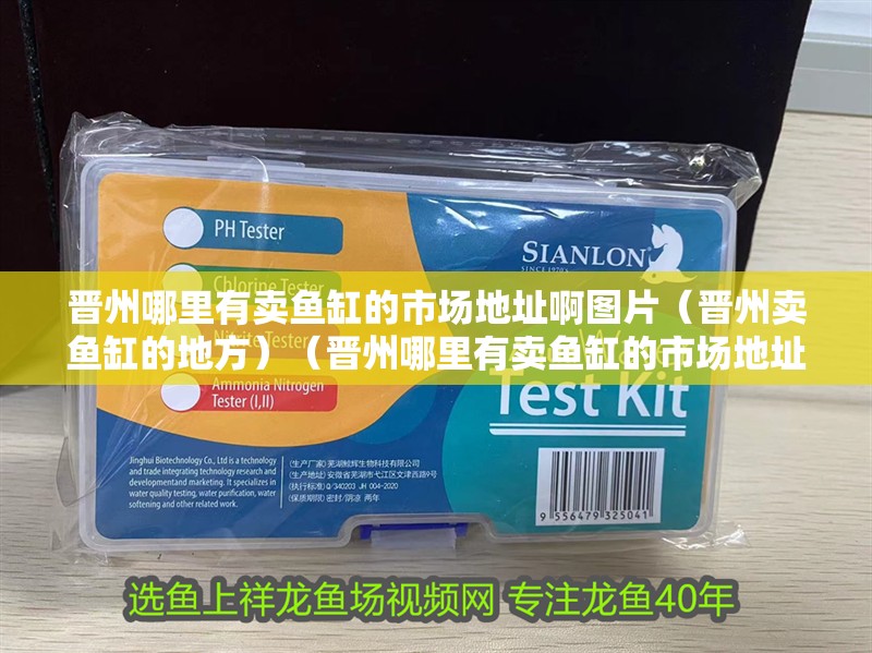 晉州哪里有賣魚缸的市場地址啊圖片（晉州賣魚缸的地方）（晉州哪里有賣魚缸的市場地址）