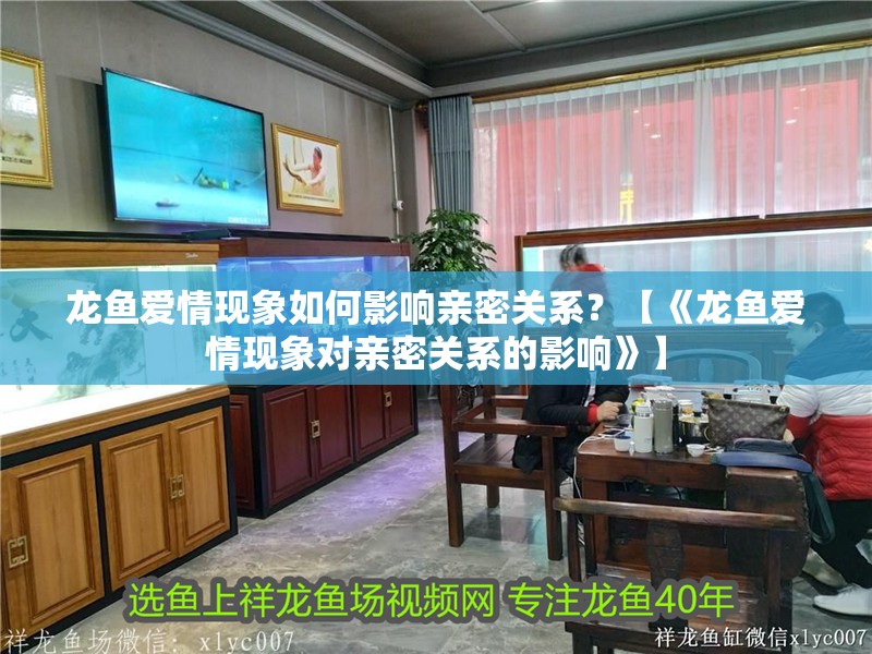 龍魚愛情現象如何影響親密關系？【《龍魚愛情現象對親密關系的影響》】