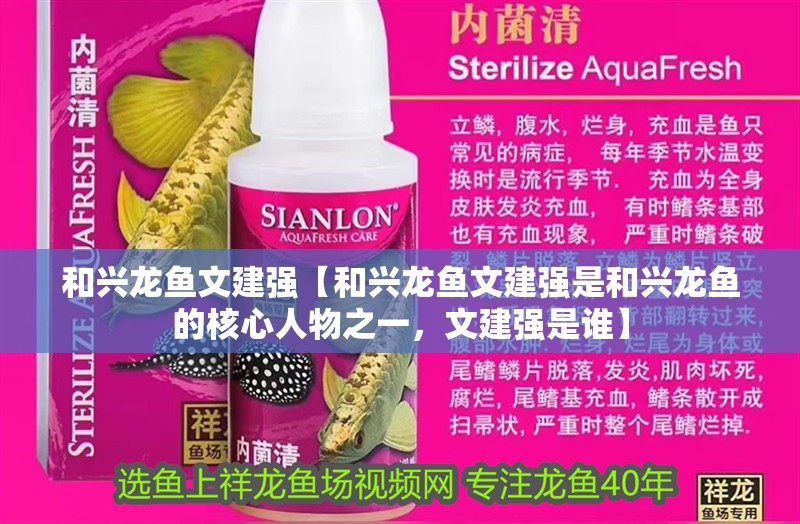 和興龍魚文建強【和興龍魚文建強是和興龍魚的核心人物之一，文建強是誰】