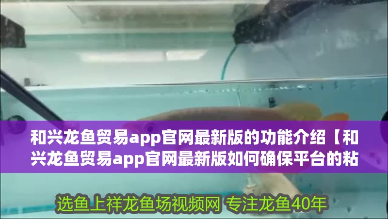 和興龍魚貿易app官網最新版的功能介紹【和興龍魚貿易app官網最新版如何確保平臺的粘性？】