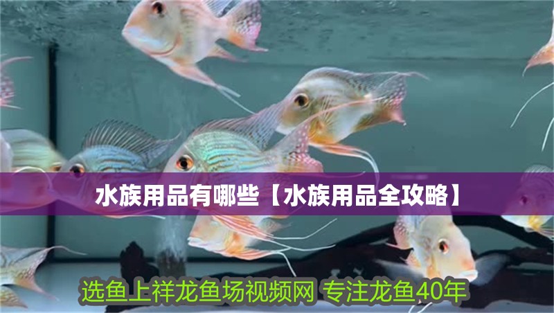 水族用品有哪些【水族用品全攻略】