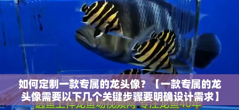 如何定制一款專屬的龍頭像？【一款專屬的龍頭像需要以下幾個關鍵步驟要明確設計需求】