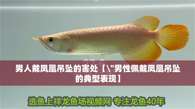 男人戴鳳凰吊墜的害處【\