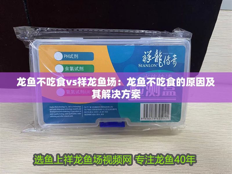龍魚不吃食vs祥龍魚場：龍魚不吃食的原因及其解決方案