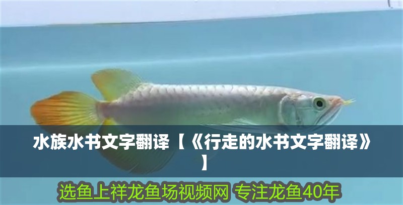 水族水書文字翻譯【《行走的水書文字翻譯》】