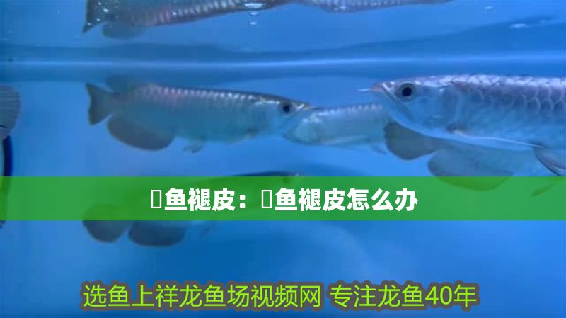 魟魚褪皮：魟魚褪皮怎么辦