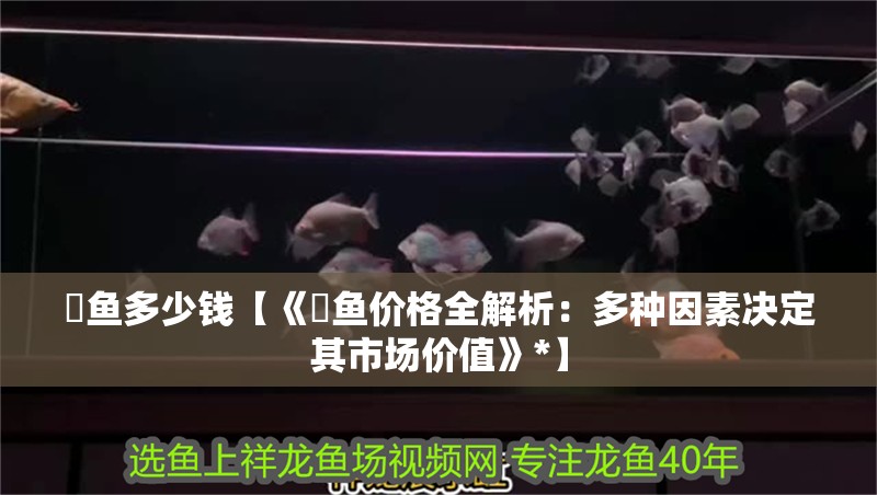 魟魚多少錢【《魟魚價(jià)格全解析：多種因素決定其市場(chǎng)價(jià)值》*】