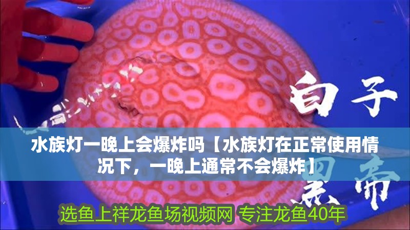 水族燈一晚上會爆炸嗎【水族燈在正常使用情況下，一晚上通常不會爆炸】