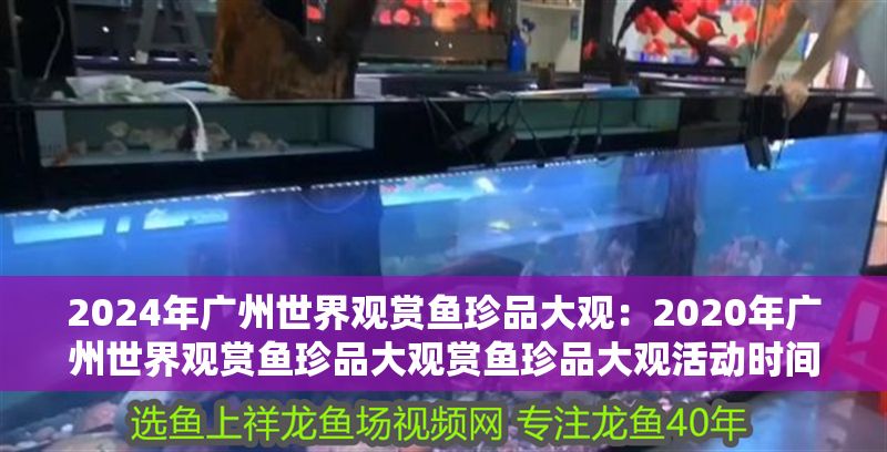 2024年廣州世界觀賞魚(yú)珍品大觀：2020年廣州世界觀賞魚(yú)珍品大觀賞魚(yú)珍品大觀活動(dòng)時(shí)間