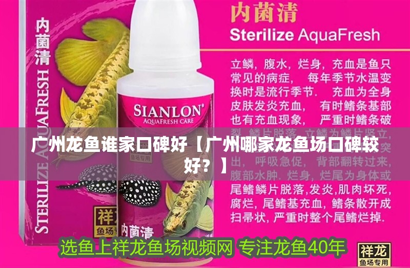 廣州龍魚誰家口碑好【廣州哪家龍魚場口碑較好？】