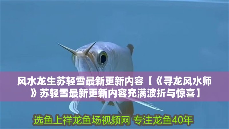 風(fēng)水龍生蘇輕雪最新更新內(nèi)容【《尋龍風(fēng)水師》蘇輕雪最新更新內(nèi)容充滿波折與驚喜】