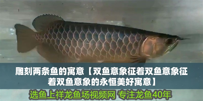 雕刻兩條魚的寓意【雙魚意象征著雙魚意象征著雙魚意象的永恒美好寓意】