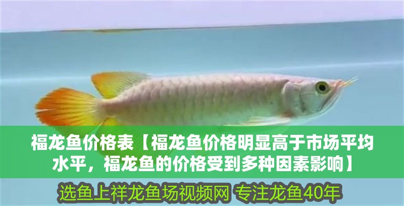 福龍魚價格表【福龍魚價格明顯高于市場平均水平，福龍魚的價格受到多種因素影響】 福龍魚價格表【福龍魚價格明顯高于市場平均水平，福龍魚的價格受到多種因素影響】 水族問答