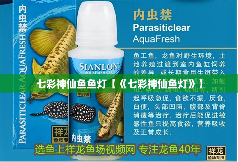 七彩神仙魚魚燈【《七彩神仙魚燈》】
