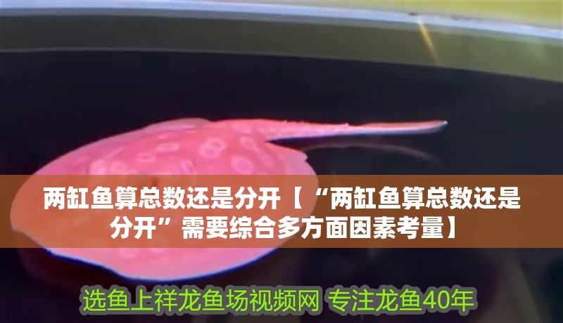 兩缸魚算總數還是分開【“兩缸魚算總數還是分開”需要綜合多方面因素考量】