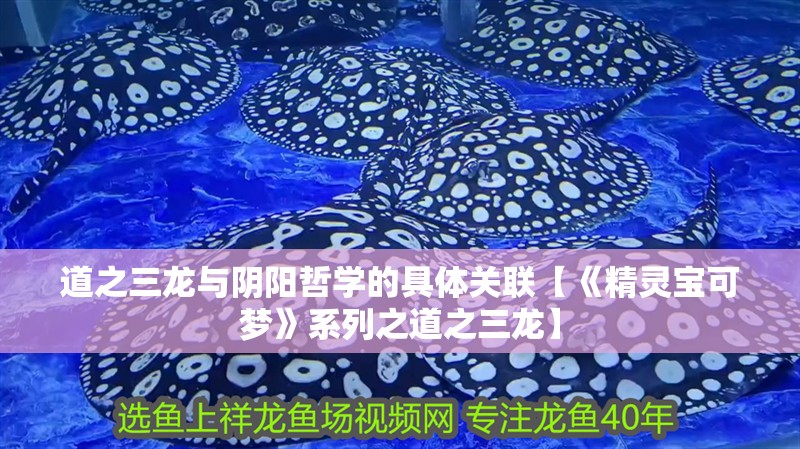 道之三龍與陰陽哲學的具體關聯【《精靈寶可夢》系列之道之三龍】 道之三龍與陰陽哲學的具體關聯【《精靈寶可夢》系列之道之三龍】 龍魚論壇