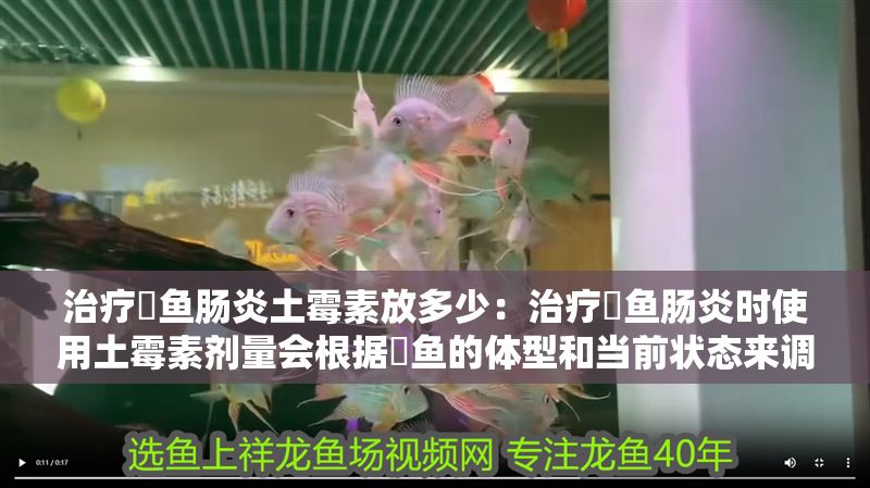 治療魟魚腸炎土霉素放多少：治療魟魚腸炎時(shí)使用土霉素劑量會(huì)根據(jù)魟魚的體型和當(dāng)前狀態(tài)來(lái)調(diào)整