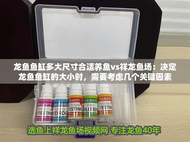 龍魚魚缸多大尺寸合適養(yǎng)魚vs祥龍魚場：決定龍魚魚缸的大小時，需要考慮幾個關(guān)鍵因素