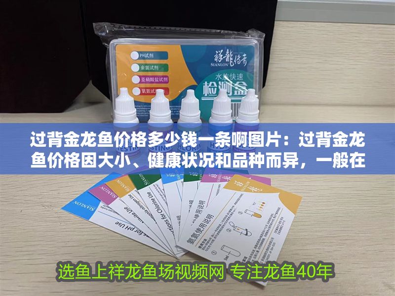 過背金龍魚價格多少錢一條啊圖片：過背金龍魚價格因大小、健康狀況和品種而異，一般在100元不等