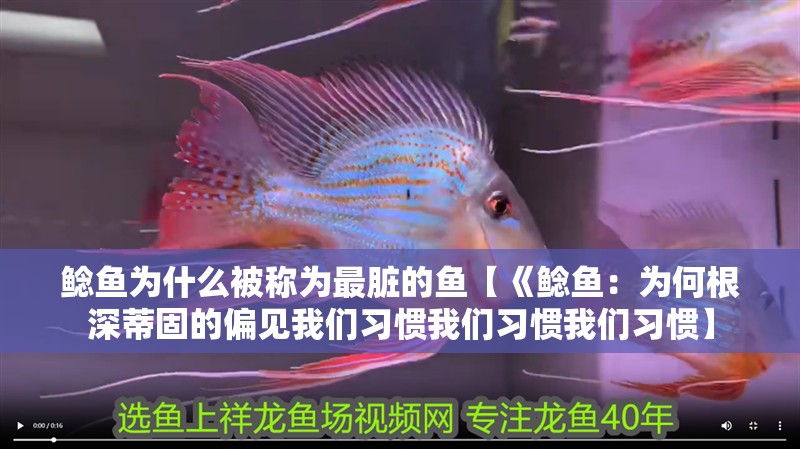 鯰魚為什么被稱為最臟的魚【《鯰魚：為何根深蒂固的偏見我們習慣我們習慣我們習慣】