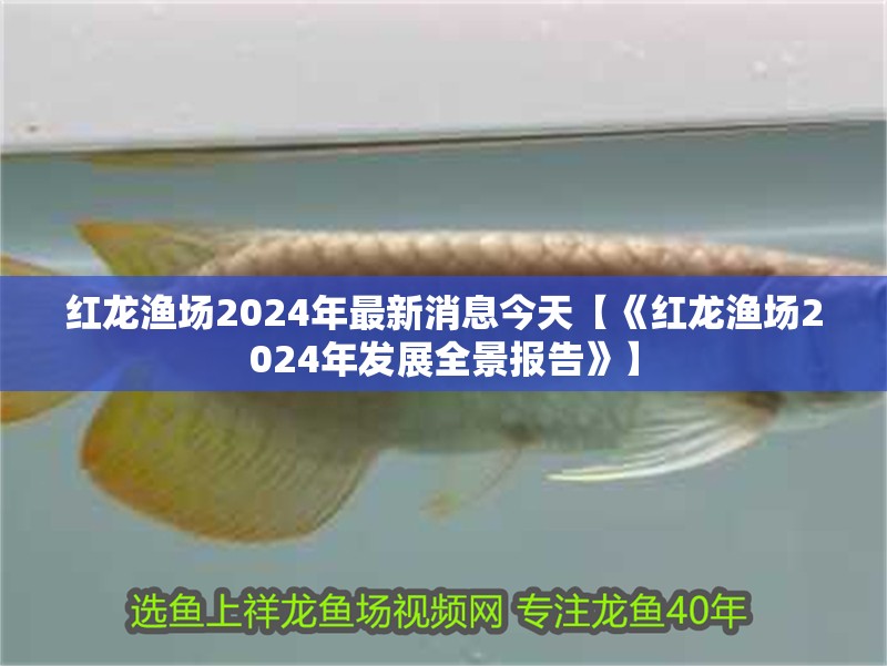 紅龍漁場2024年最新消息今天【《紅龍漁場2024年發展全景報告》】