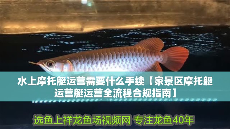 水上摩托艇運(yùn)營(yíng)需要什么手續(xù)【家景區(qū)摩托艇運(yùn)營(yíng)艇運(yùn)營(yíng)全流程合規(guī)指南】