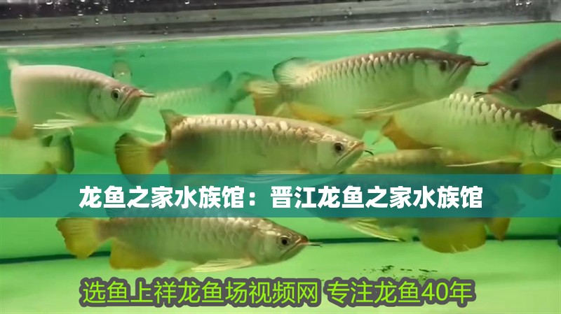 龍魚之家水族館：晉江龍魚之家水族館