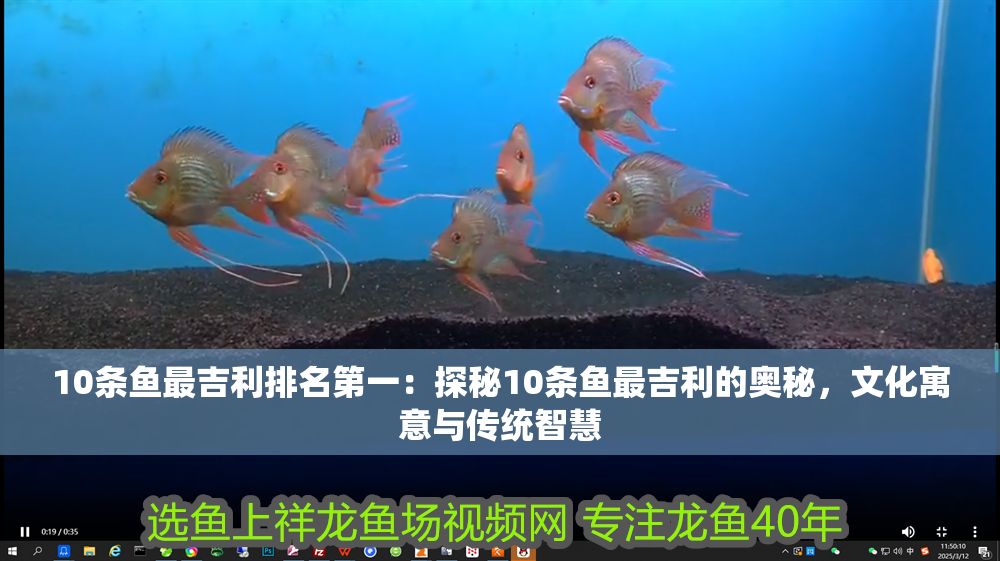 10條魚最吉利排名第一：探秘10條魚最吉利的奧秘，文化寓意與傳統(tǒng)智慧