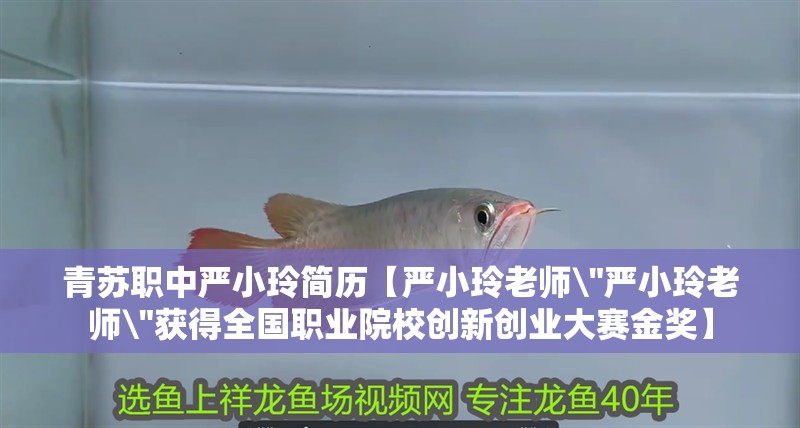 青蘇職中嚴(yán)小玲簡(jiǎn)歷【嚴(yán)小玲老師\