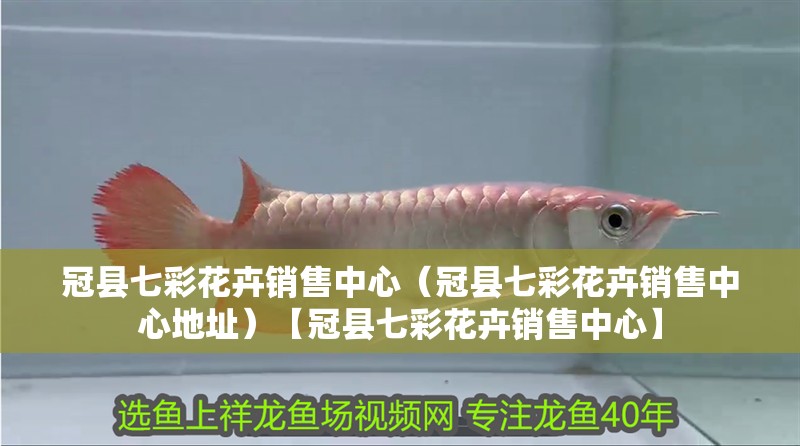 冠縣七彩花卉銷售中心（冠縣七彩花卉銷售中心地址）【冠縣七彩花卉銷售中心】