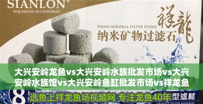 大興安嶺龍魚vs大興安嶺水族批發(fā)市場vs大興安嶺水族館vs大興安嶺魚缸批發(fā)市場vs祥龍魚場：大興安嶺水族批發(fā)市場