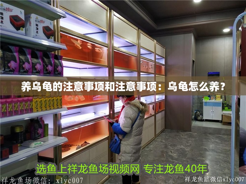 養烏龜的注意事項和注意事項：烏龜怎么養？