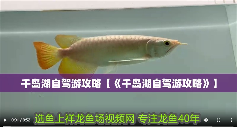 千島湖自駕游攻略【《千島湖自駕游攻略》】