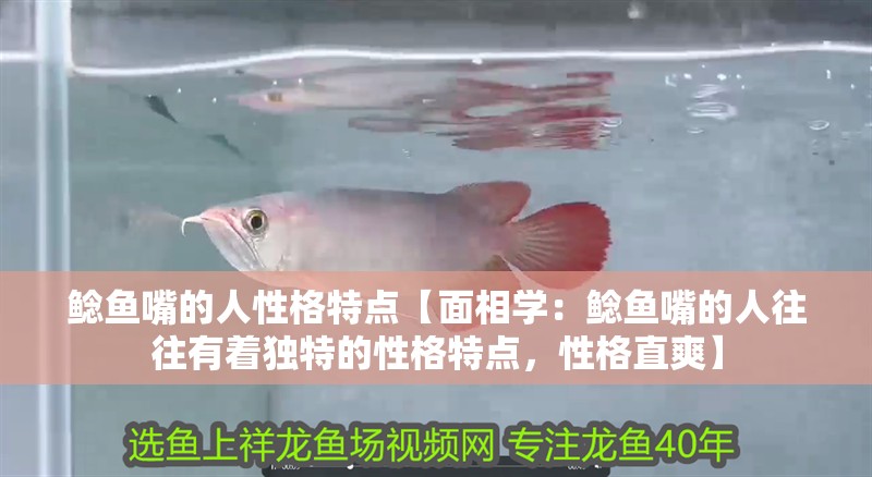 鯰魚嘴的人性格特點(diǎn)【面相學(xué)：鯰魚嘴的人往往有著獨(dú)特的性格特點(diǎn)，性格直爽】