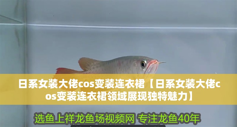 日系女裝大佬cos變裝連衣裙【日系女裝大佬cos變裝連衣裙領(lǐng)域展現(xiàn)獨特魅力】