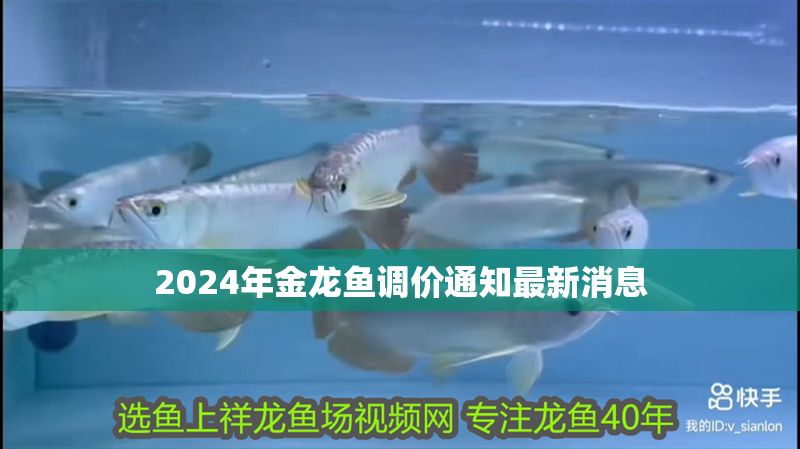2024年金龍魚調(diào)價(jià)通知最新消息