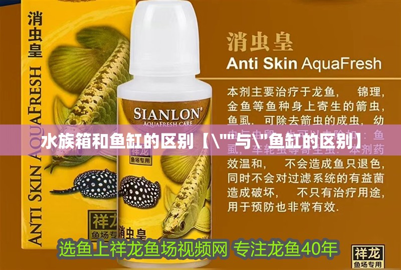 水族箱和魚缸的區別【\