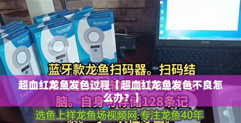 超血紅龍魚發色過程【超血紅龍魚發色不良怎么辦？】