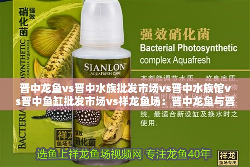 晉中龍魚vs晉中水族批發市場vs晉中水族館vs晉中魚缸批發市場vs祥龍魚場：晉中龍魚與晉中水族批發市場、水族館和魚缸批發市場之間存在著顯著的競爭關系
