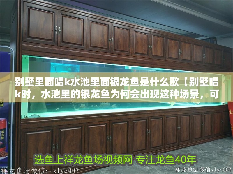 別墅里面唱k水池里面銀龍魚是什么歌【別墅唱k時，水池里的銀龍魚為何會出現這種場景，可能有多種原因】 別墅里面唱k水池里面銀龍魚是什么歌【別墅唱k時，水池里的銀龍魚為何會出現這種場景，可能有多種原因】 水族問答