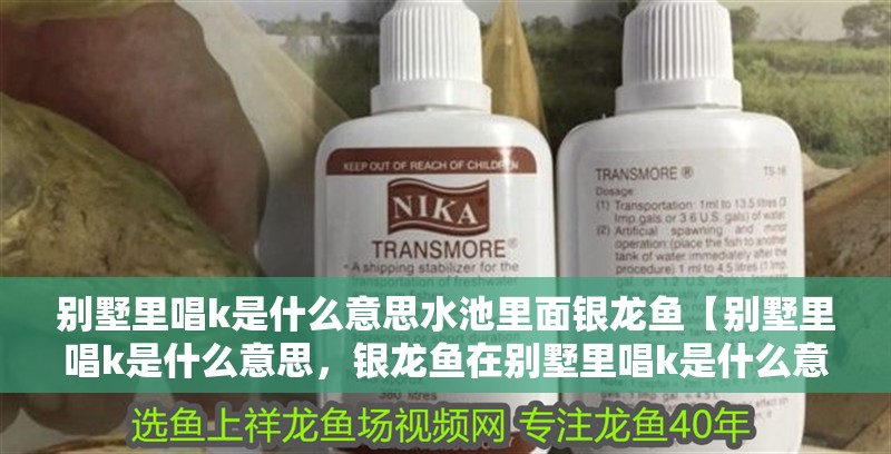 別墅里唱k是什么意思水池里面銀龍魚【別墅里唱k是什么意思，銀龍魚在別墅里唱k是什么意思】